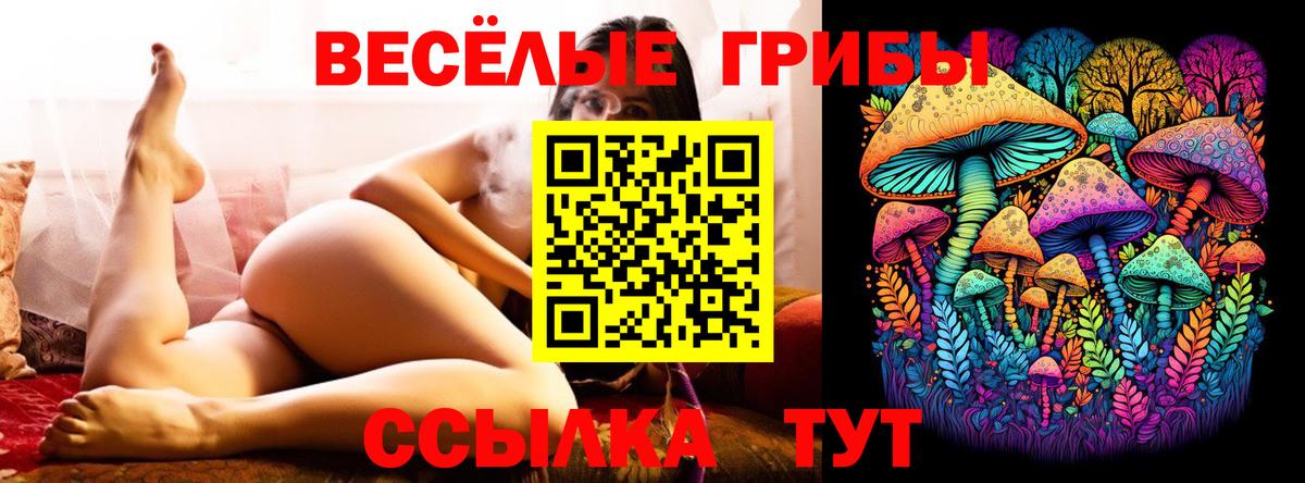 Галлюциногенные грибы мухоморы  Вход с VPN  Асино  Галлюциногенные грибы мицелий 